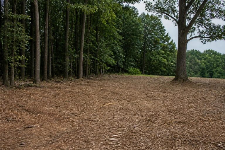 Brush Clearing