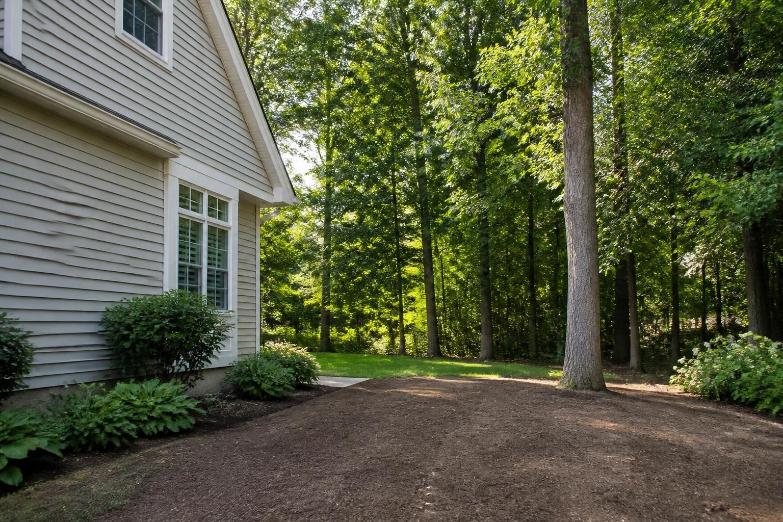 Hazard tree removed from near a home in a clean yard.
