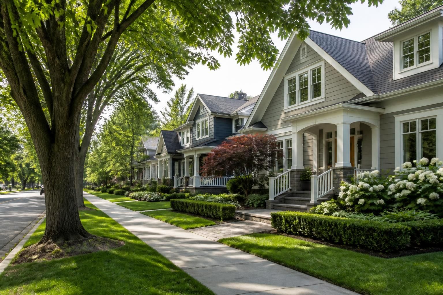 Welcoming suburban neighborhood with mature trees and homes.