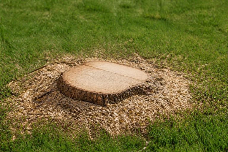 Stump Grinding