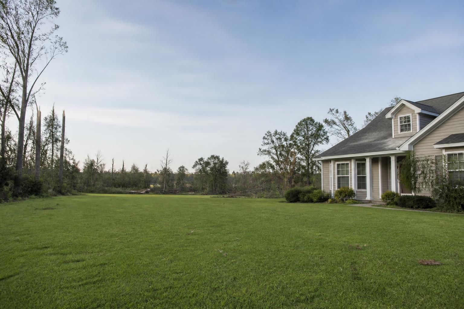 Open, cleared yard with calm natural light and space for text.